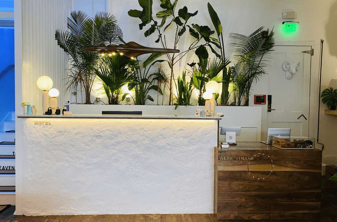 American-Beech -Hero