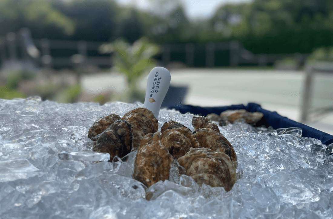 Peconic-Gold-Oysters-Hero