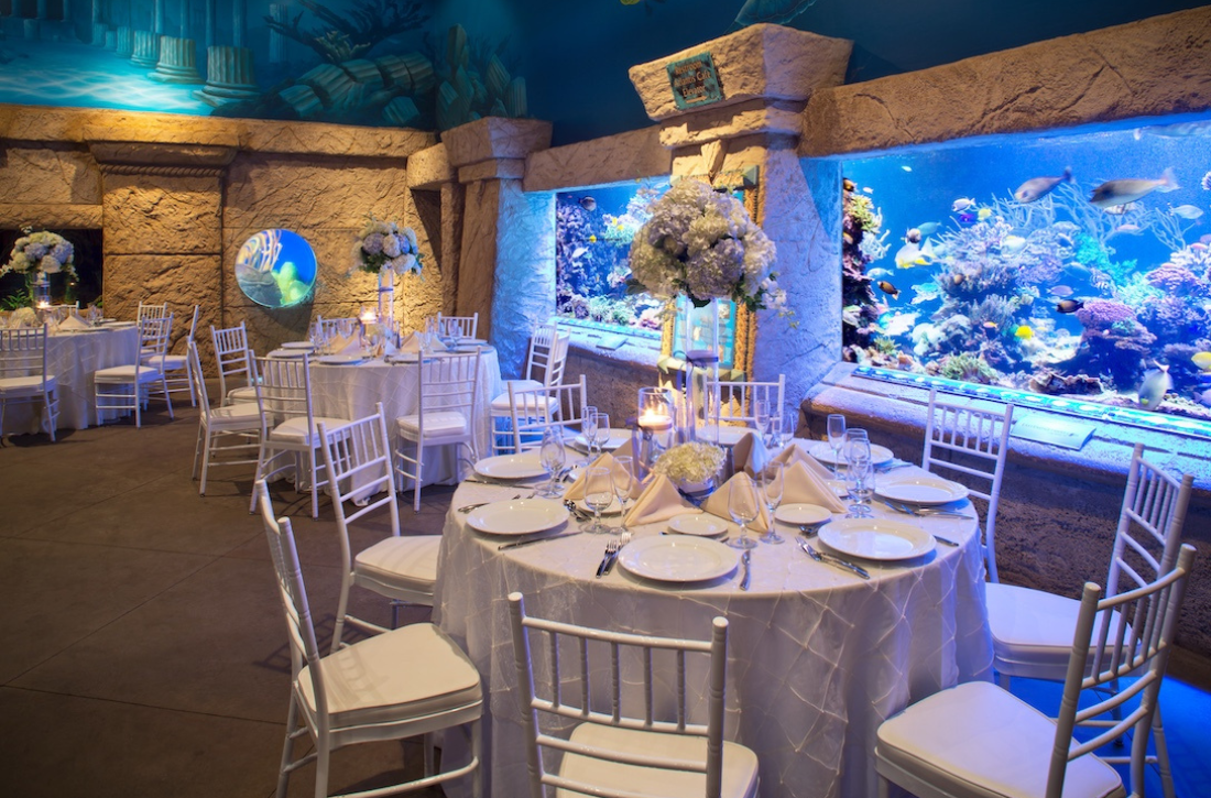 Long-Island-Aquarium-Hero