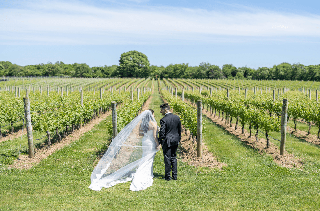 Sparkling-Pointe_Hero